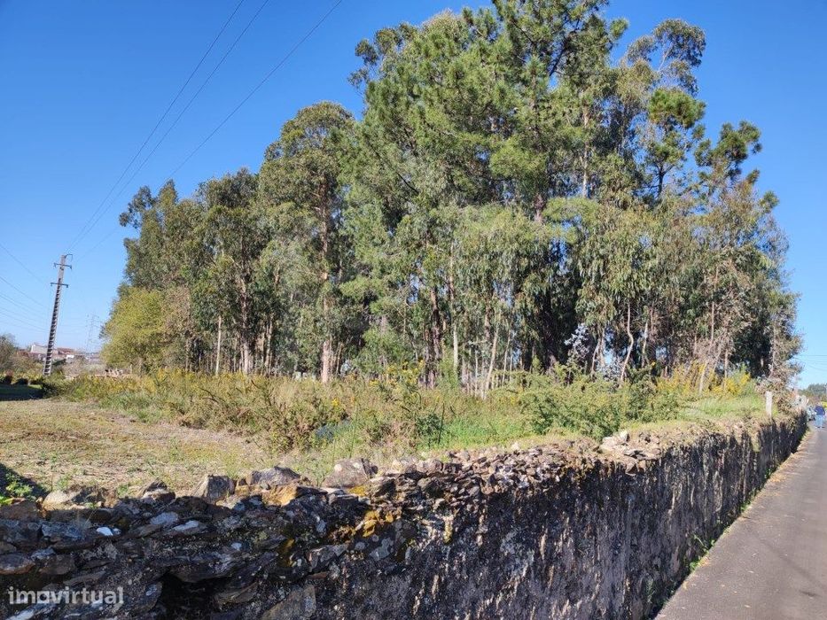 Terreno Urbano com 7500m2 em Souto, Santa Maria da Feira