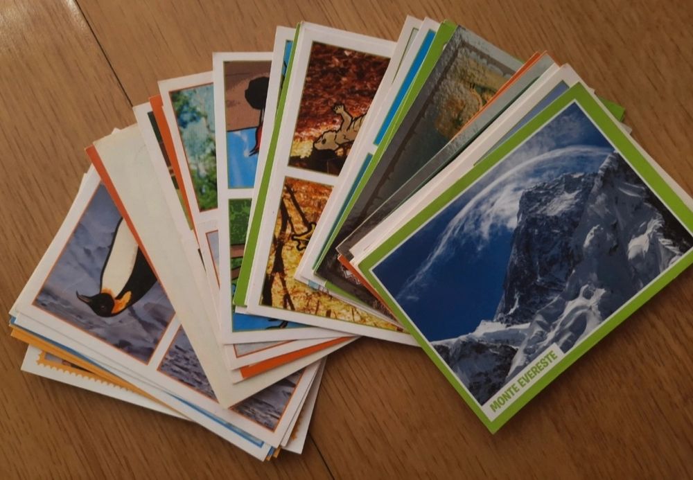 Cromos mundo animal/animais 2013 e 2014