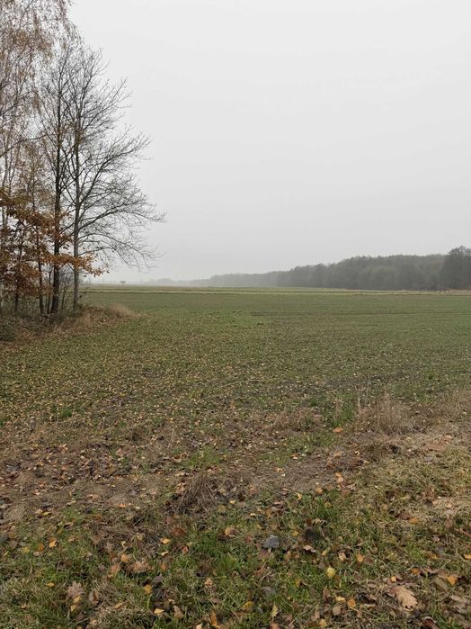 Sprzedam działkę rolno/budowlaną