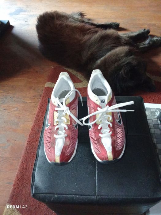 Tênis de senhora em excelente estado