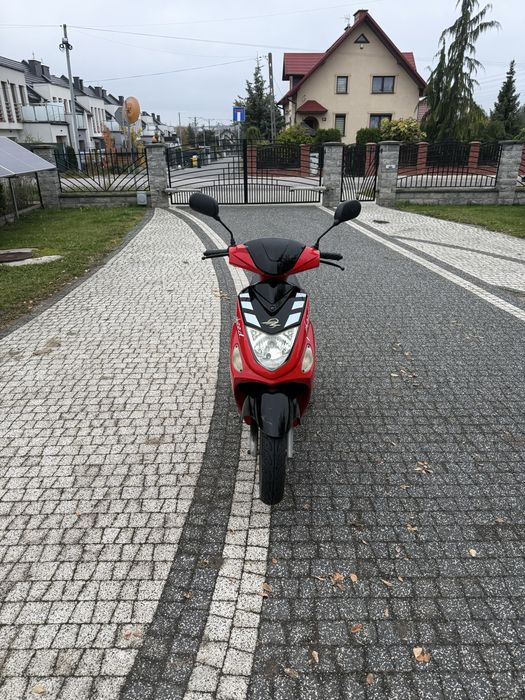 Zipp