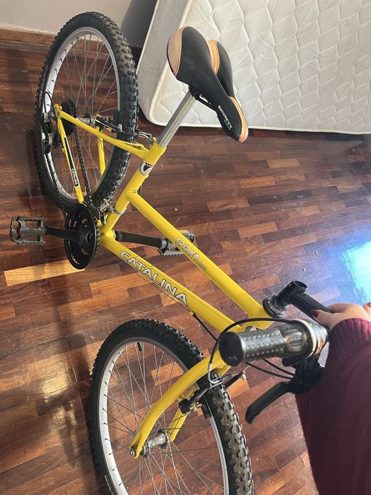 Bicicleta aro 24