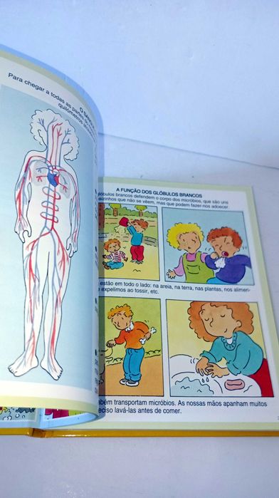 Dicionário de Imagens do Corpo Humano