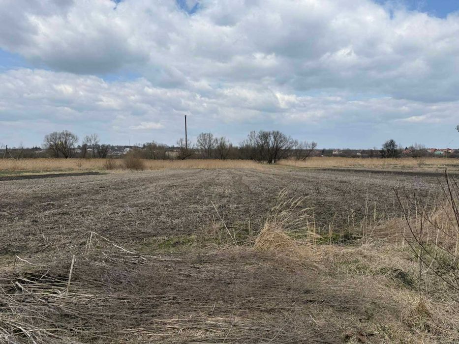 Продаж земельної ділянки під забудову в селі Звенигород з комунікаціями та старим будинком