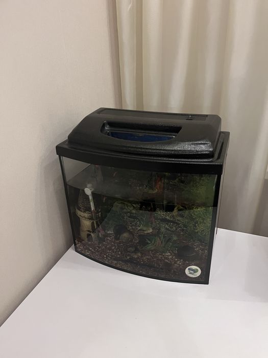 Акваріум для рибок