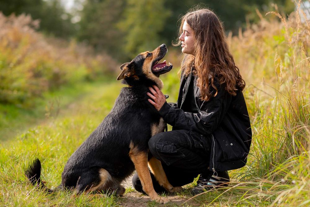 Elton: schroniskowy weteran gaśnie w oczach ;(