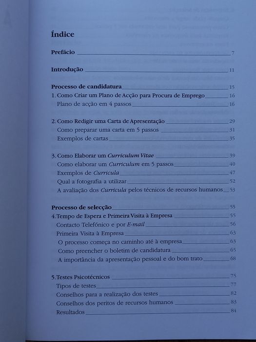 Desafios! Da Universidade à Empresa, Ana Rocha, Oliver Röhrich