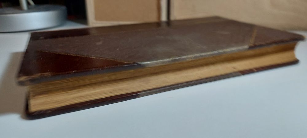 A Vida Sexual, Physiologia - Egas Moniz (2ª edição, 1904)