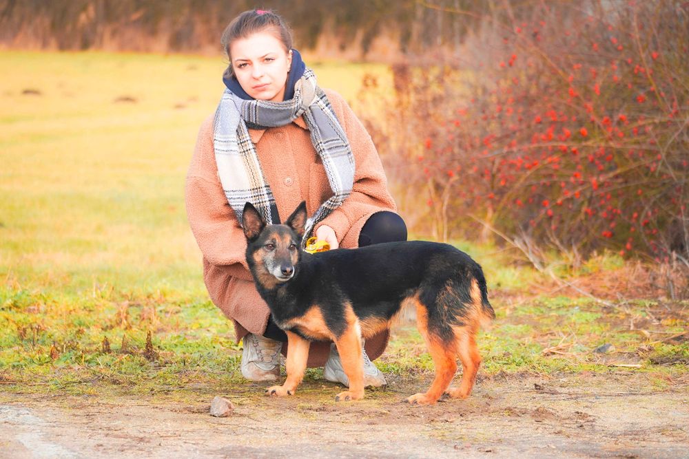 Edwardo szuka przyjaciela