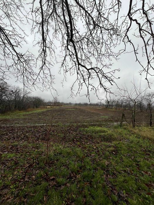 Продам будинок (8340)