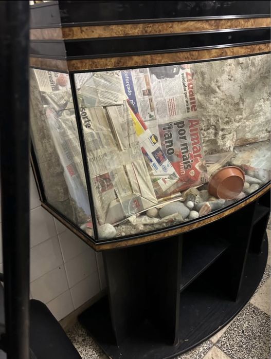 Aquário mais móvel de suporte