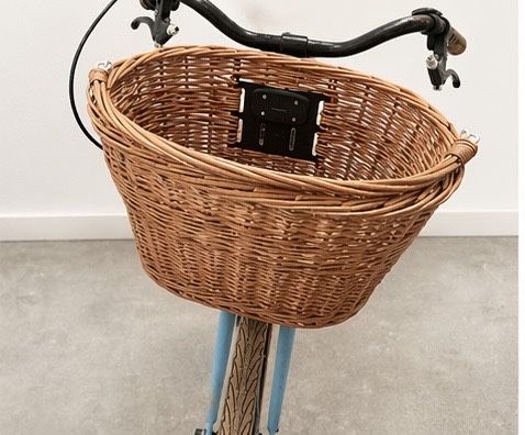 Bicicleta holandesa