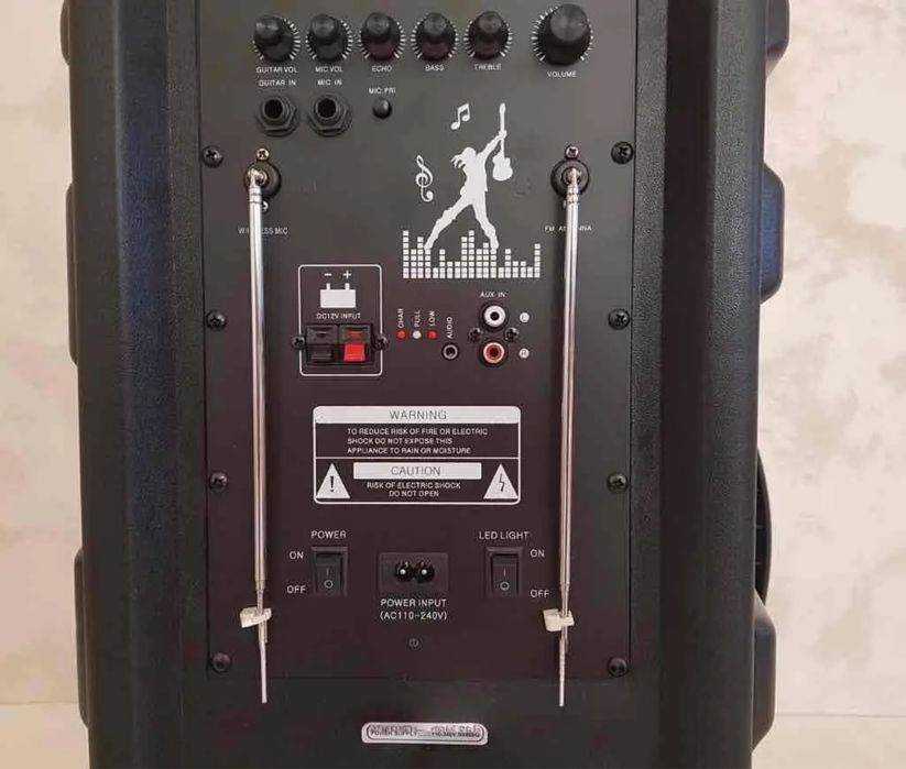 Колонка портативна з мікрофоном ZPX ZX 7781