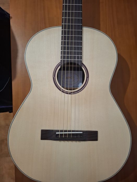 Viola de fado  - Setup profissional e pronta a tocar