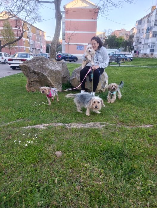 Petsitting, estadia familiar.