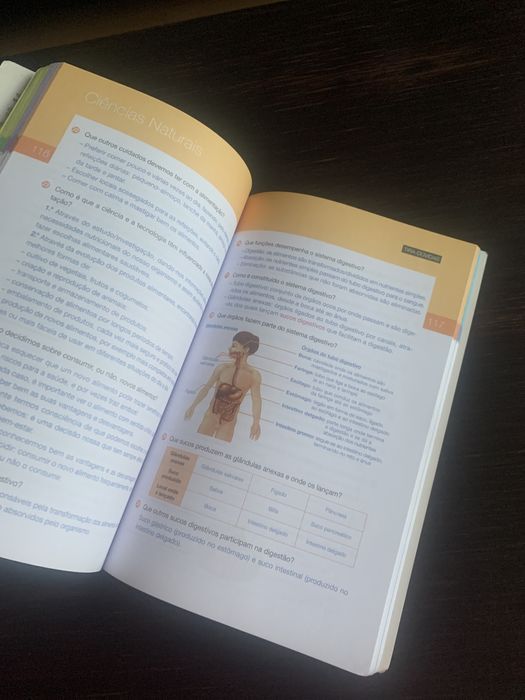 Livro apoio multidisciplinar 6ano