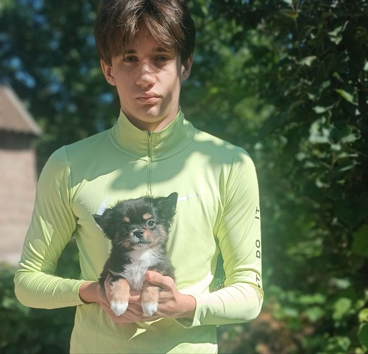 міні чишка триколорний