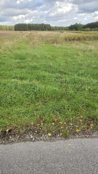 Sprzedam działkę budowlaną o pow. 1.5 ha w miejscowości Krępa
