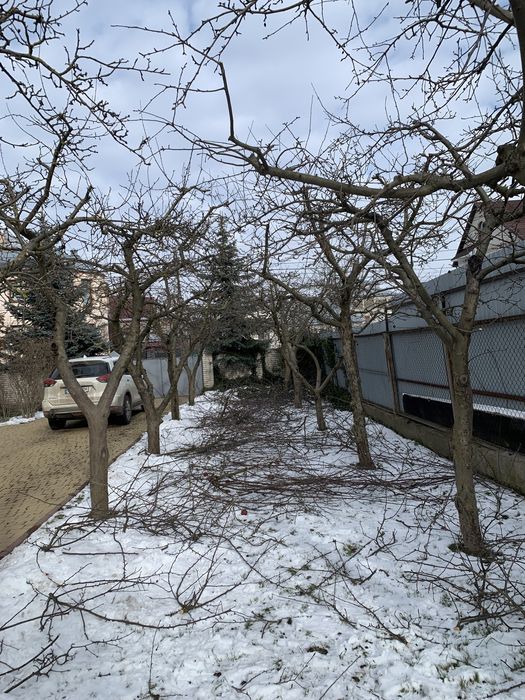 Обрізка саду Обрезка сада Обрізка дерев Обрезка деревьев