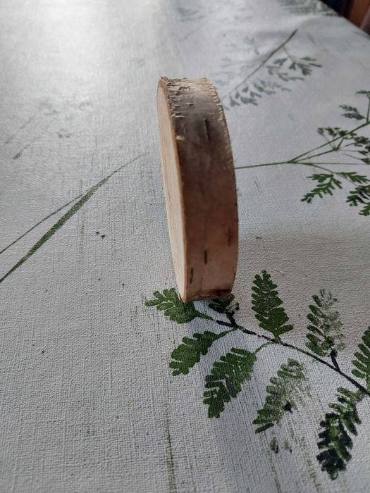 Plastry brzozy  7-8.5cm szlifowane