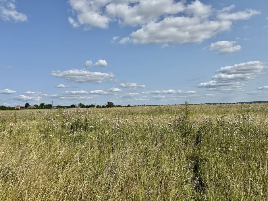 Земельна ділянка 5,9 га! Колонщина!