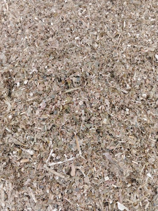 Силос кукурудзяний 2025 року, а також солома в тюках ячмінна та пшен.