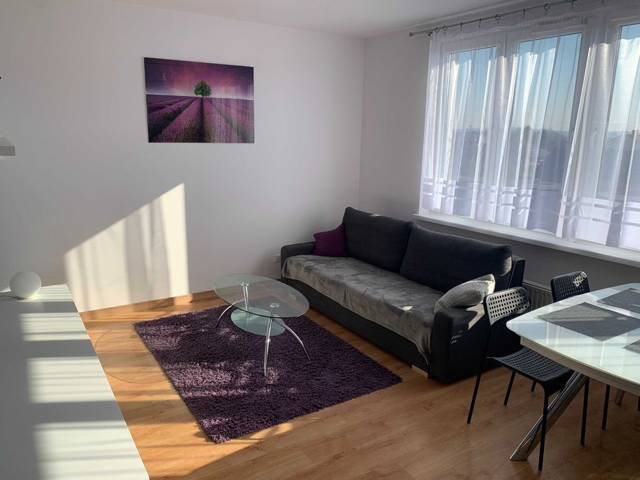 Mieszkanie na wynajem, 47 m2, Poznań Naramowice, Ul. Jasna Rola