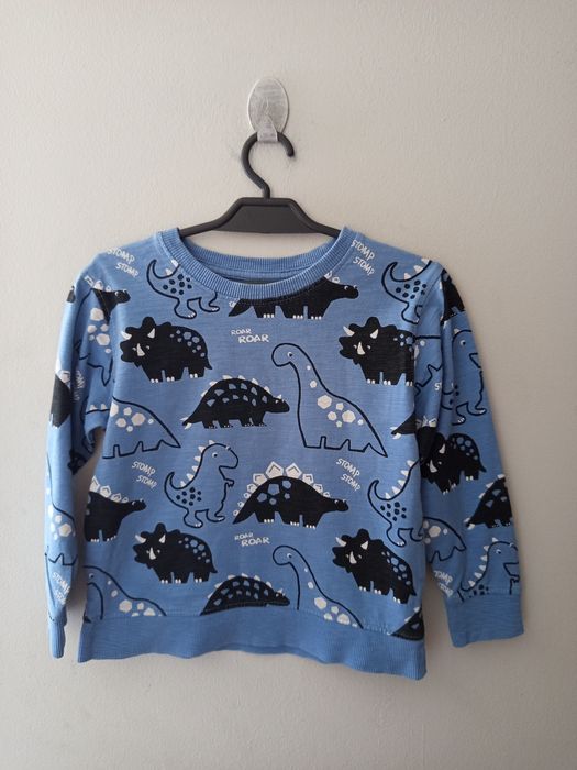 Bluza next dla chłopca dinozaury