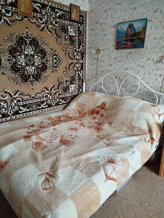 Продам будинок на Веселом