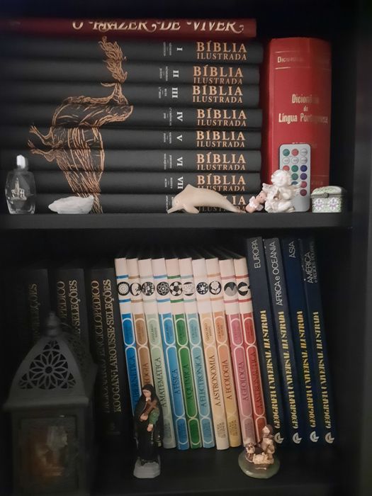 Lote de vários livros