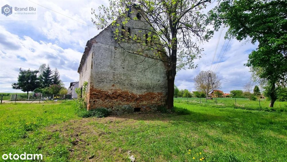 Zdjęcie 3