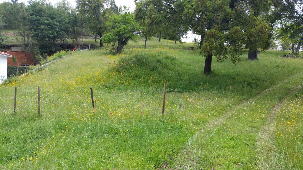 Terreno rustico 4ha com PDM para construção