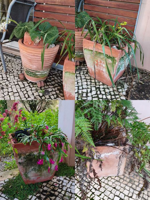 Vasos diversos cerâmica e compósito