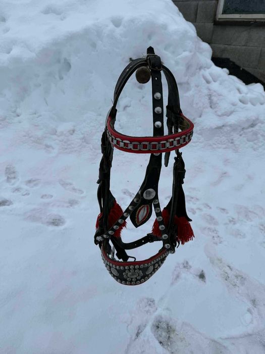 Uzda / kantar na konia