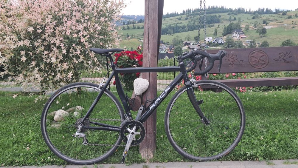 Rower Szosowy Race M 54