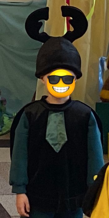 Костюм жука (зріст 104-110 см)