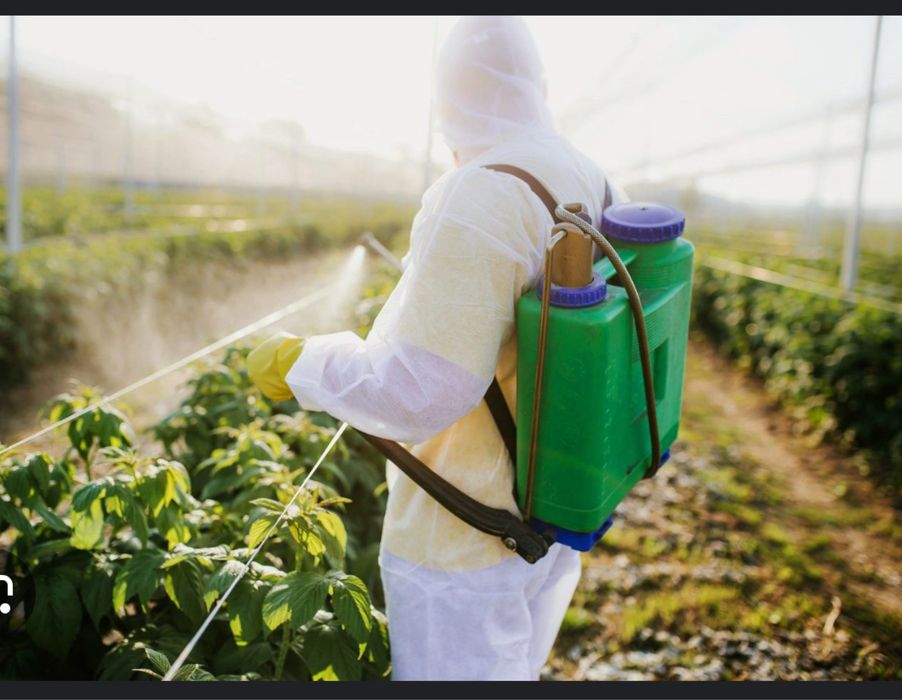 Serviço de jardineiro limpeza de terrenos,  podas  de arvores