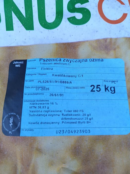 Pszenżyto Rotondo i Belcanto/Jęczmień ozimy Kosmos