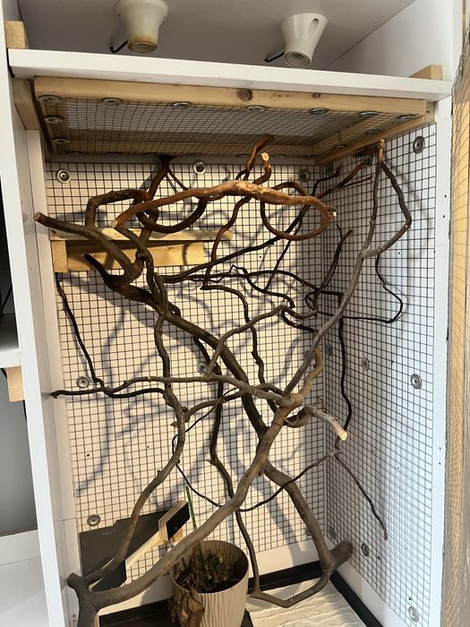 Terarium szafa szafo/terarium