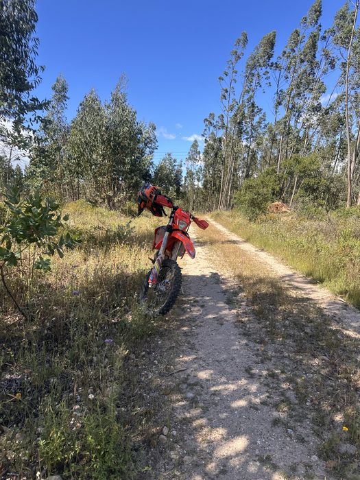 Beta 390 ec de 2022