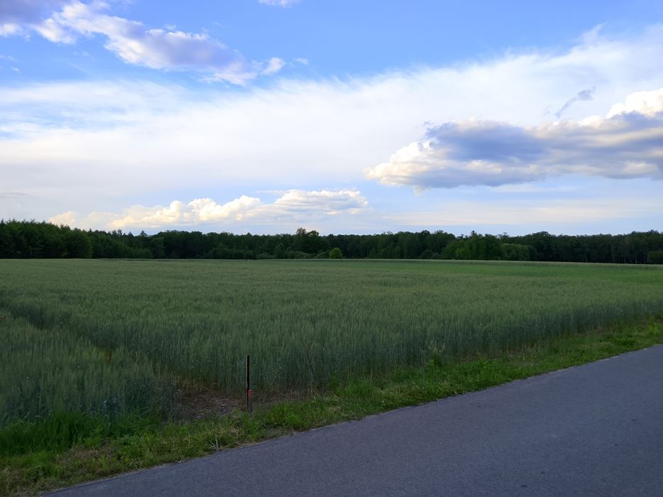 Działka budowlana 2016 m² - View 3