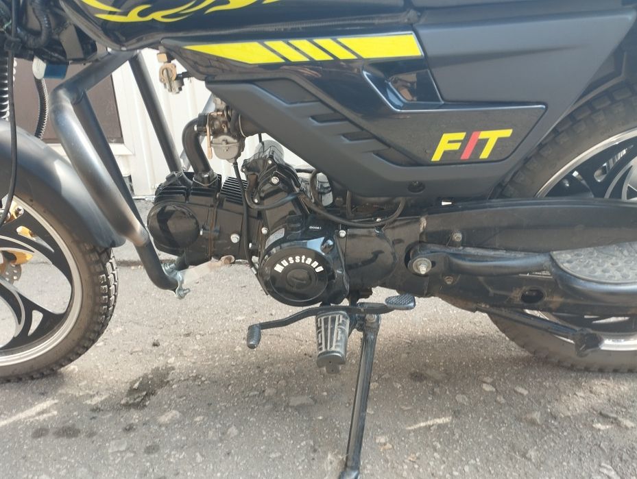 Продам мустанг фит 2