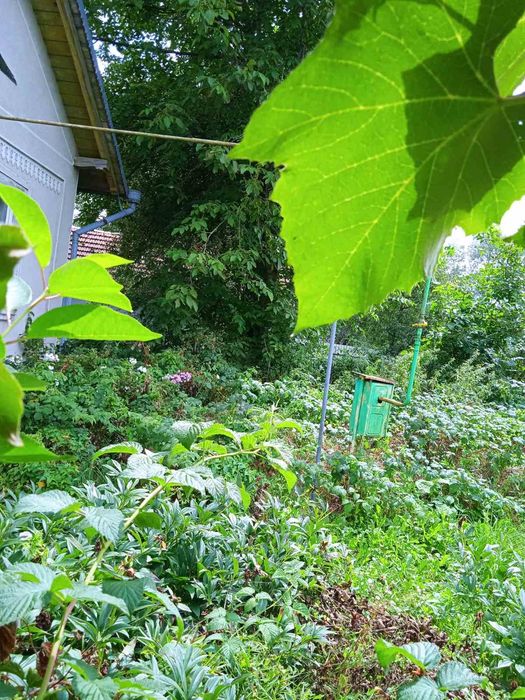 еОселя! Продаж будинку із великою земельною ділянкою в Іванівцях Колом