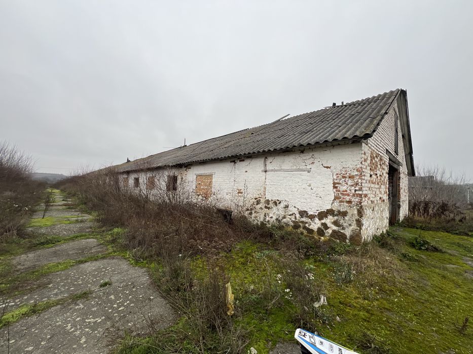 Нежитлові приміщення, комерційного призначення, ферми