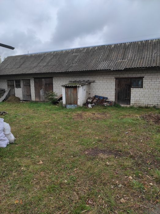 Продам будинок с.Орвяниця