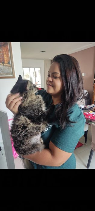 PET SITTING Veterinary Services470425970987520004