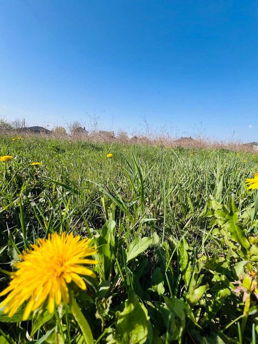 Продаж земельної ділянки с/г призначення, Ведмеже Вушко 6830