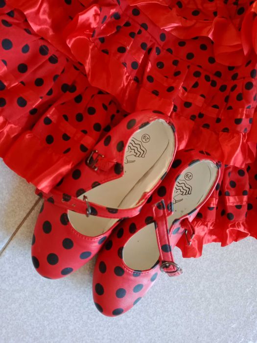 Fatos de Carnaval - Disfarces - Acessórios de Carnaval - Lote 2