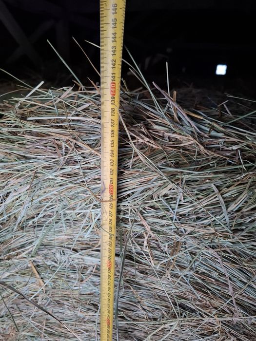 Sprzedam siano bela 140