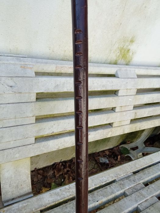 Fabuloso Reco Reco. Bom para tunas, rancho,ou universidade sénior.